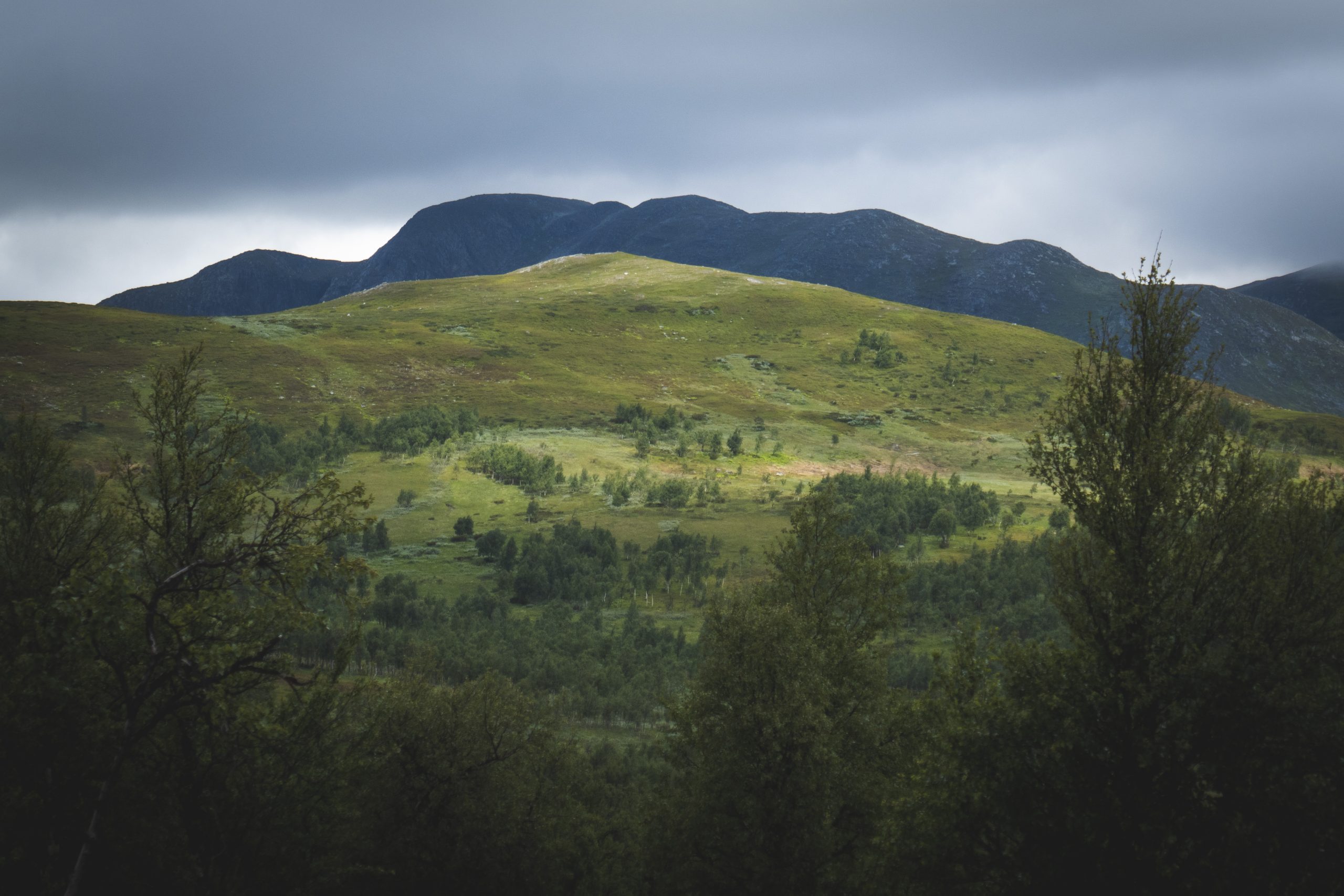 magnifikt fjäll i Klimpfjäll, upplevelser och äventyr!