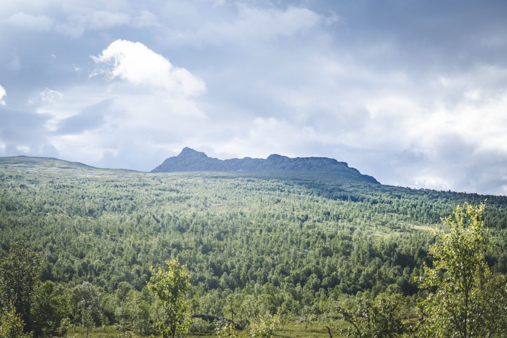 Fjället Atoklimpen under sommaren