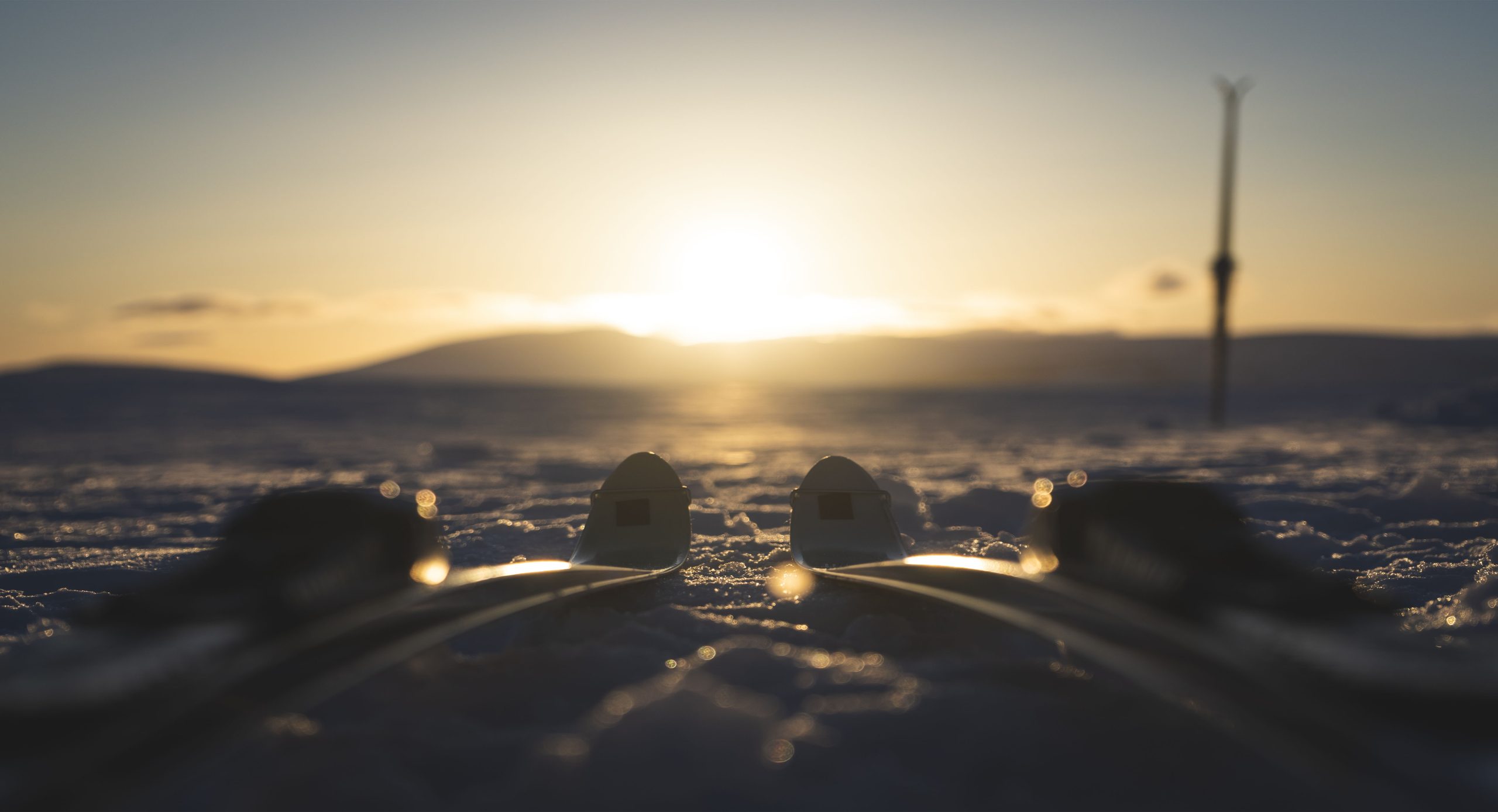 Skidor i solnedgång