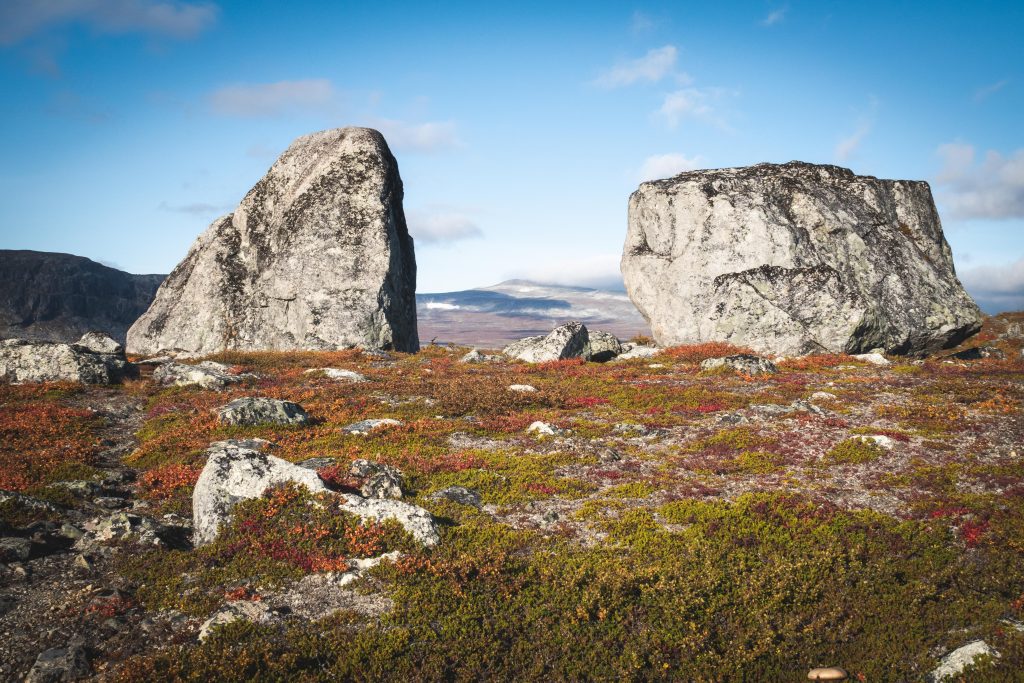 Flyttblock på fjällhed