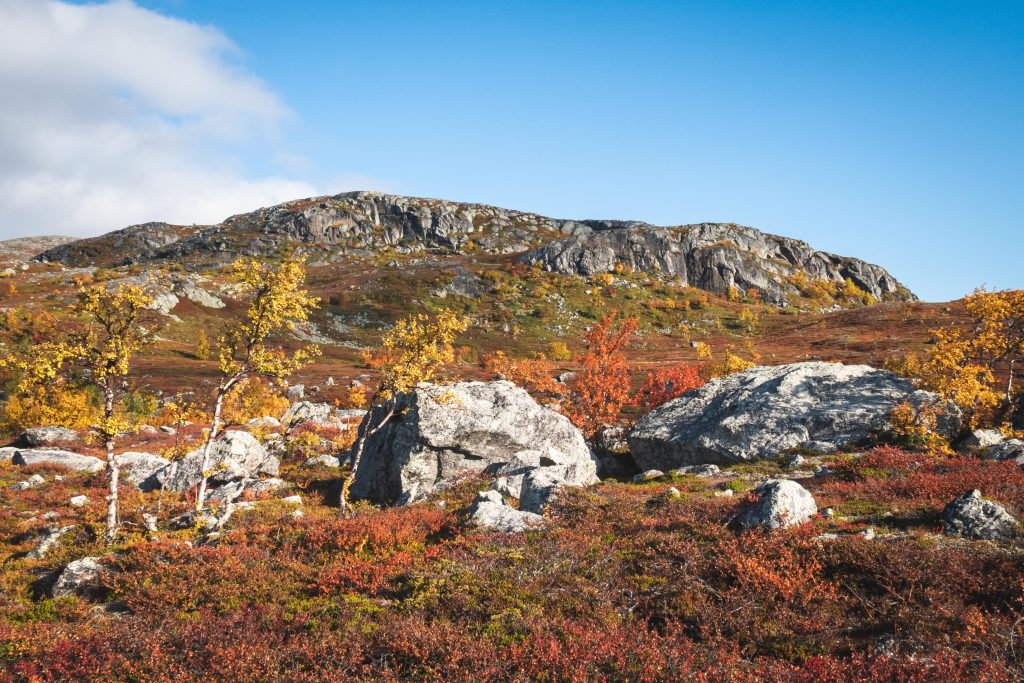 Höstfjäll