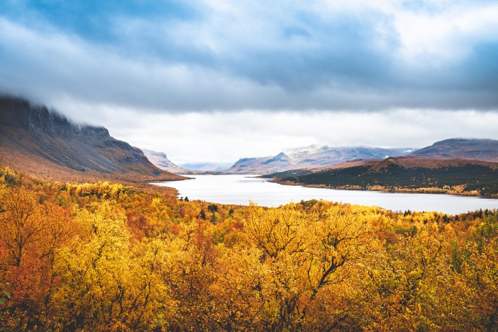 Höstfärger i fjällen