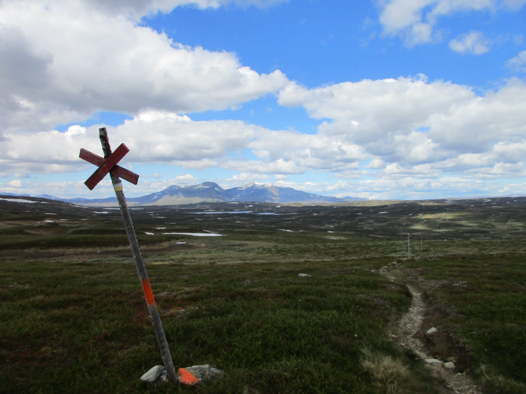 Sommarled mot Helagsfjället