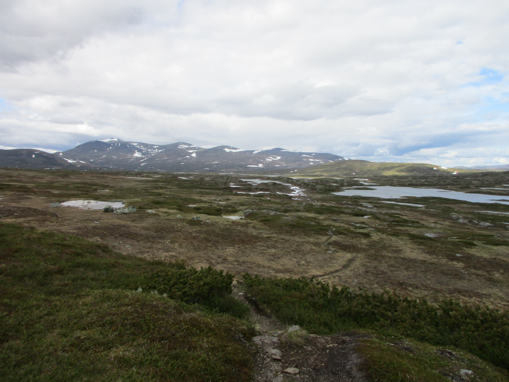 Härjångsfjällen i bakgrunden, ett öppet fjällandskap