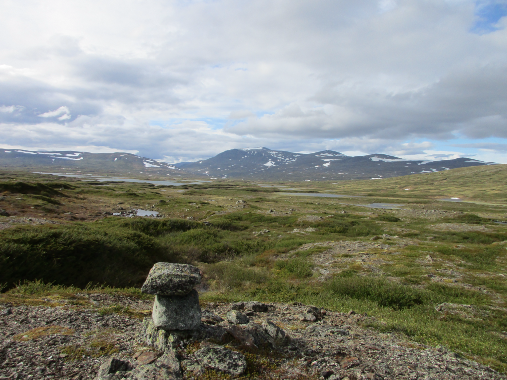 Vidsträckt fjällandskap
